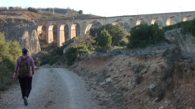 excursion-viaductos-albentonsa (59)